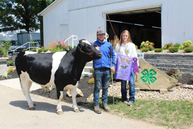 Grand Champion Heavy Feeder