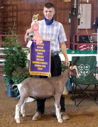 Reserve Champion Dairy Goat