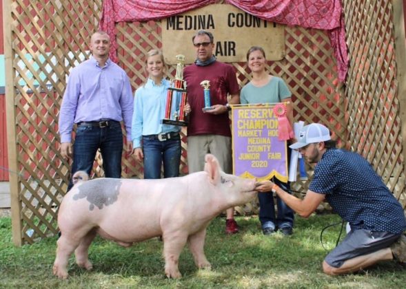 Reserve Champion Market Hog