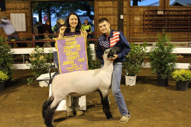 Reserve Champion Market Lamb