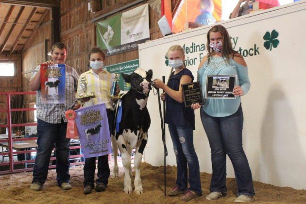 Reserve Champion Light Feeder