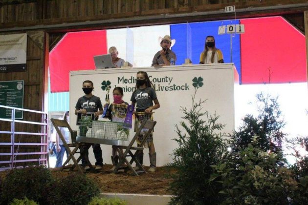 Reserve Champion Meat Rabbits