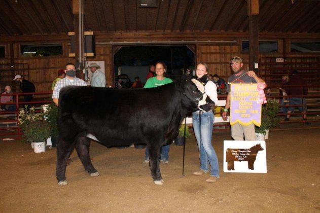 Reserve Champion Market Steer