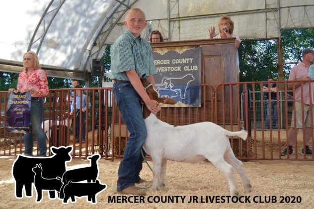 Grand Champion Goat