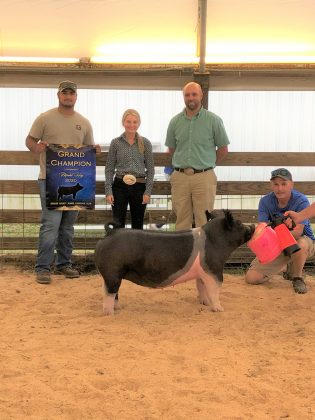 Grand Champion Hog