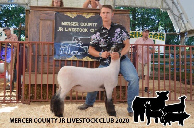 Grand Champion Lamb