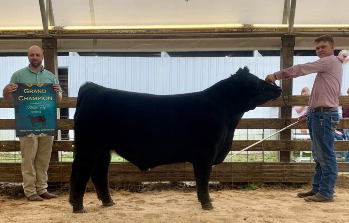 Grand Champion Steer Grand Champion Steer
