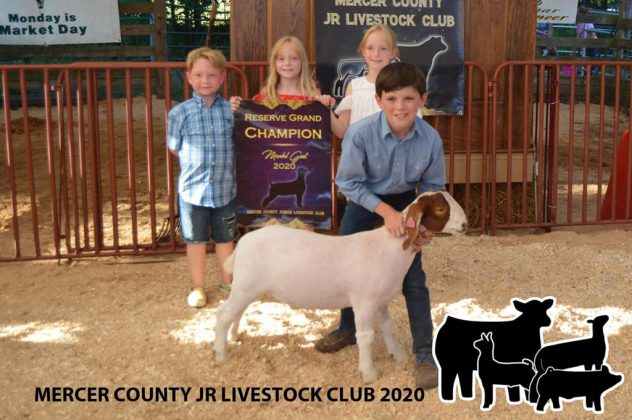 Reserve Champion Goat