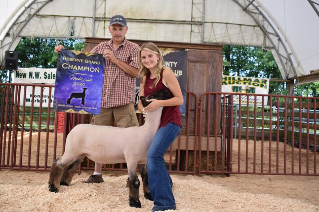 Reserve Champion Lamb
