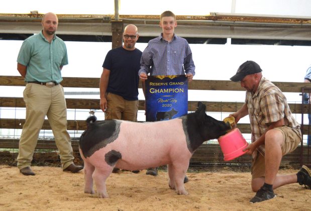 Reserve Champion Hog