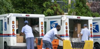 Letter carriers load mail trucks for delivery.