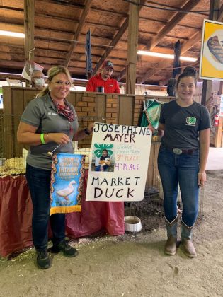 Grand Champion Duck
