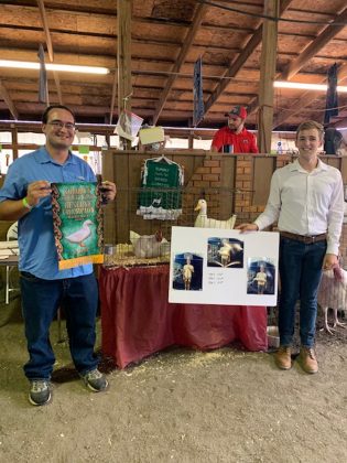 Reserve Champion Duck