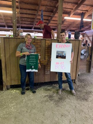 Reserve Champion Hog
