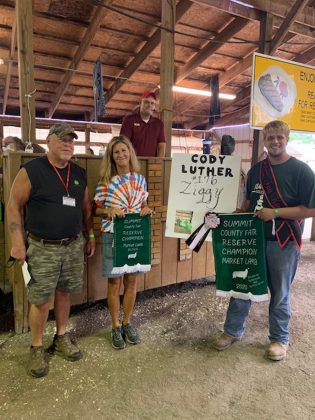 Reserve Champion Lamb