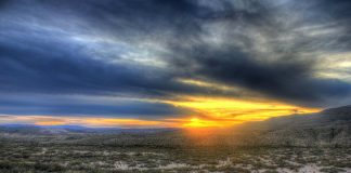 Texas
