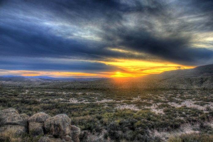 Texas Texas