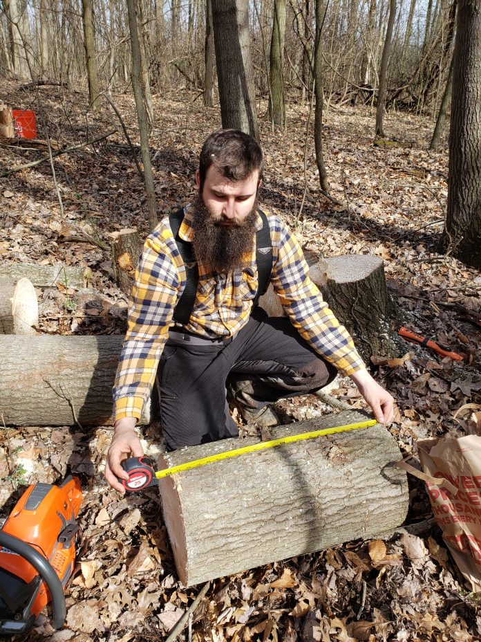 tree_farm_inspector A man kneels next to part of a tree on the ground and measures it with a tape measure.