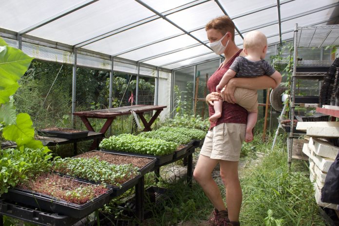 urban_ag_columbus_9 A woman stands in a greenhouse holding a baby.