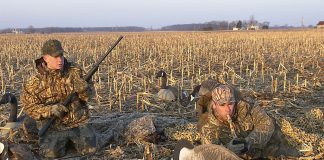 goose hunting