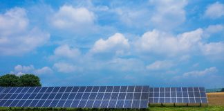 solar panels in a field