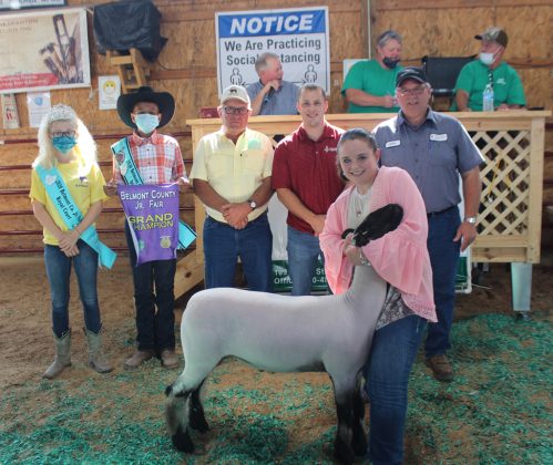 Grand Champion Lamb