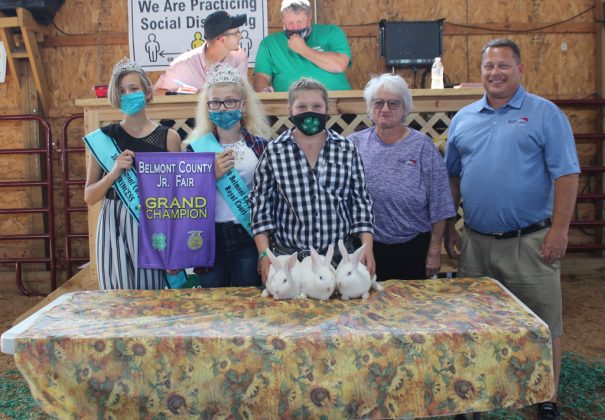 Grand Champion Rabbit