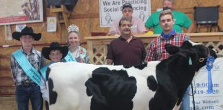 Champion Heavy Weight Dairy Feeder