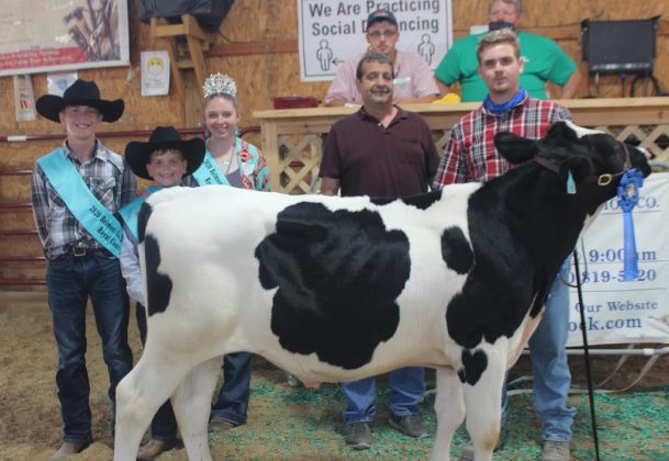 Champion Heavy Weight Dairy Feeder