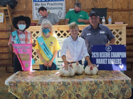 Reserve Champion Broilers