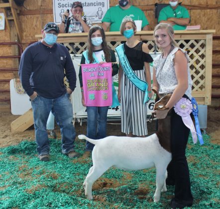 Reserve Champion Goat
