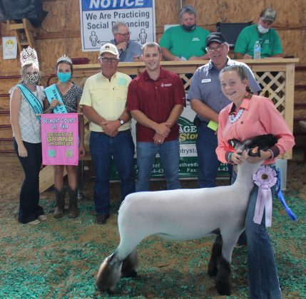 Reserve Champion Lamb