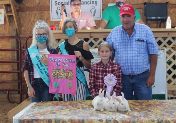 Reserve Champion Rabbit