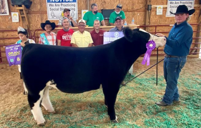 Grand Champion Steer