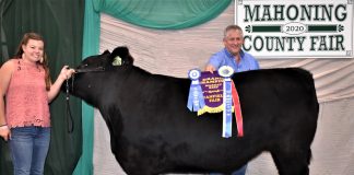 Grand Champion Market Steer