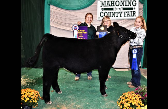 Grand Champion Beef Feeder