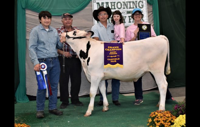 Grand Champion Dairy Feeder