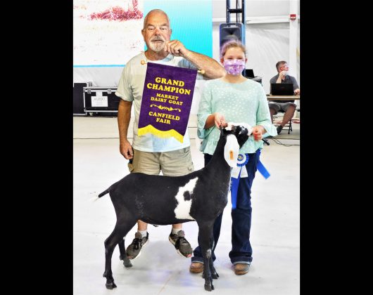 Grand Champion Dairy Goat