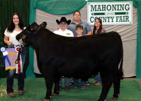 Reserve Champion Market Steer