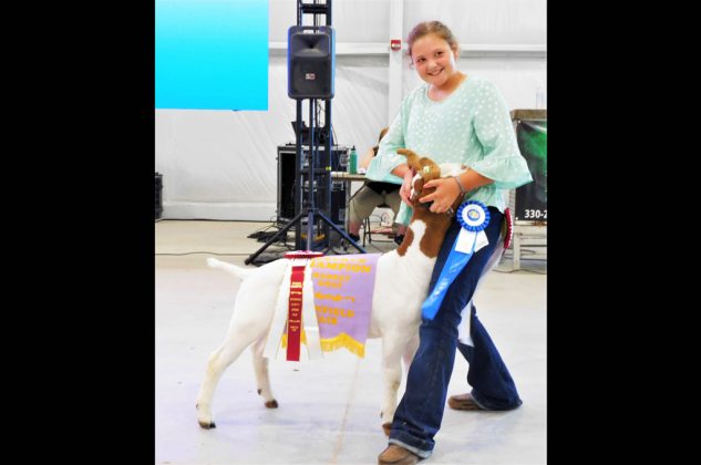 Reserve Champion Market Goat