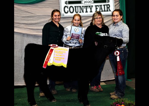 Reserve Champion Beef Heifer