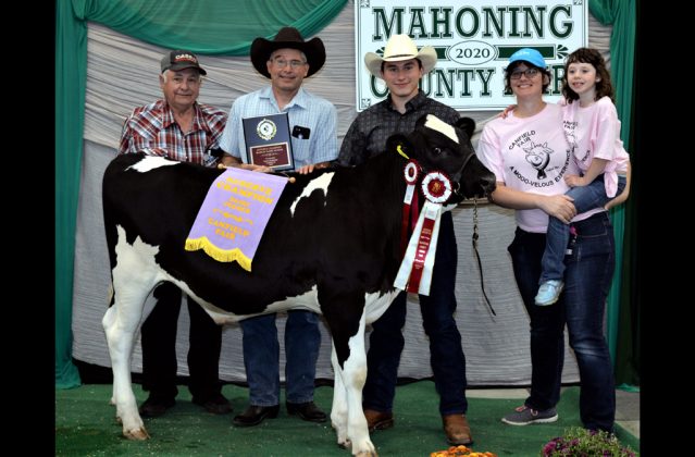 Reserve Champion Dairy Feeder