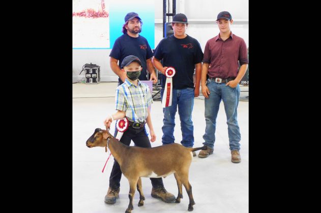 Reserve Champion Dairy Goat