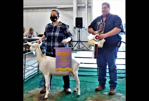 Reserve Champion Goat Milk Fudge