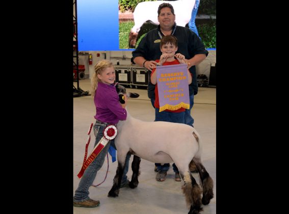 Reserve Champion Lamb