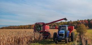harvest