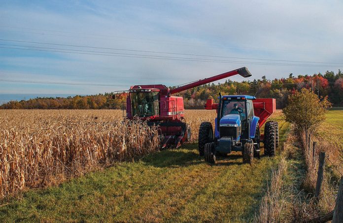 harvest harvest