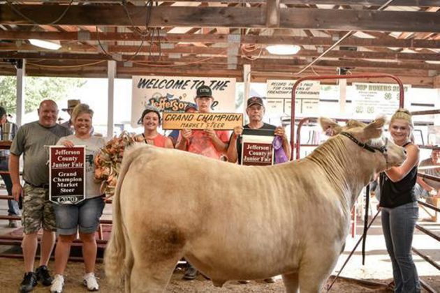 Grand Champion Steer