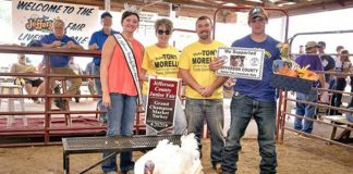 Grand Champion Market Turkey