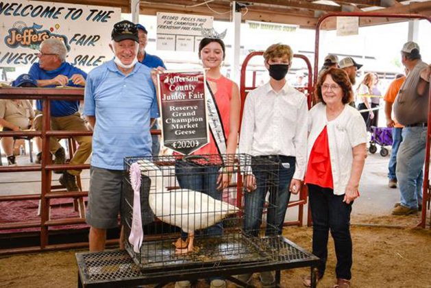 Reserve Champion Meat Goose